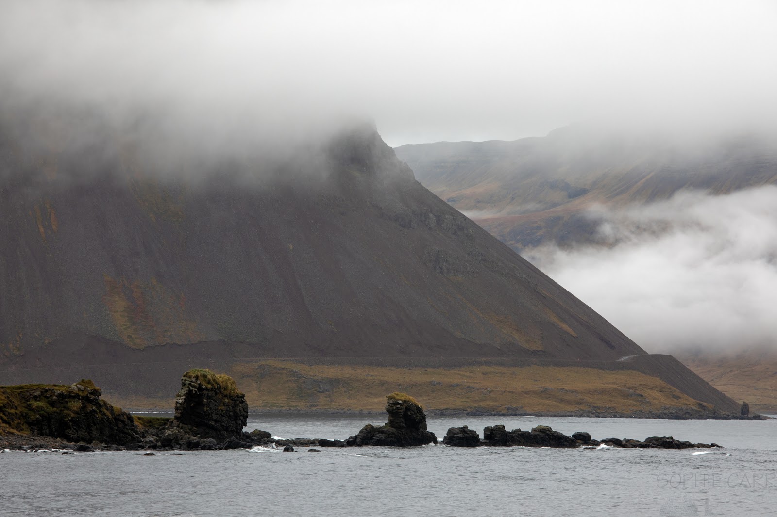 Sophie Carr S Photo Blog Iceland 17 Day 3 Seals Fog Stacks Near Djupavik