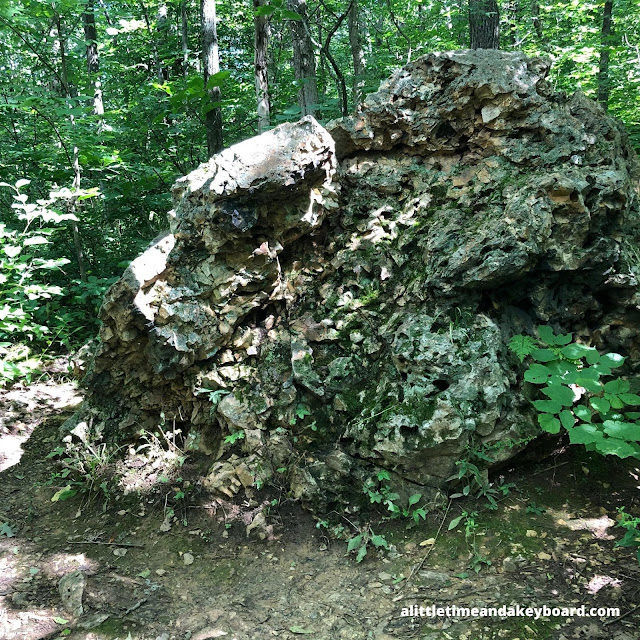 Gnarled, beautiful and intriguing flintrock boulder on the Flintrock Trail at Blue Mound State Park.