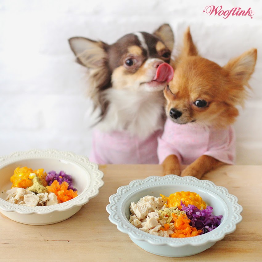 Картинки чихуахуа и роллы. Можно ли давать сыр чихуахуа. Чихуахуа бубу. Можно ли давать сыр чихуахуа. Чихуахуа облизывается.