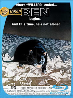 Ben La Rata Asesina (1972) HD [1080p] Latino [GoogleDrive] SXGO