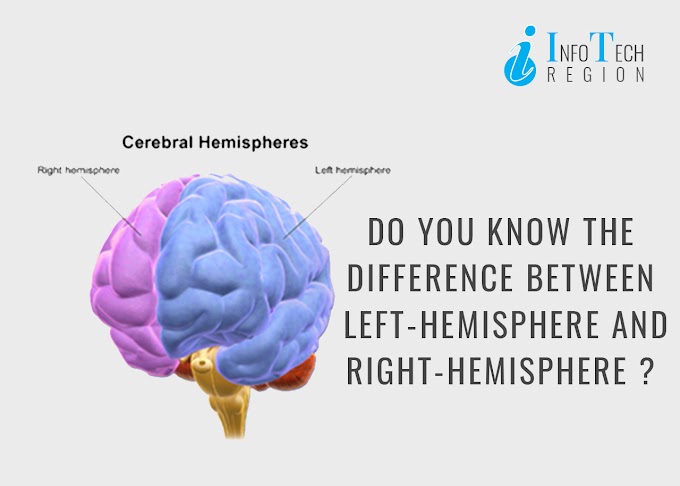 Do you know the difference between left-hemisphere and right-hemisphere | Infotech Region 