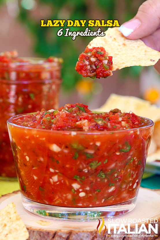 Lazy Day Salsa Lazy Day Salsa