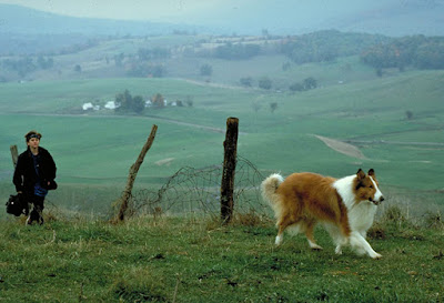 Lassie 1994 Movie Image 1