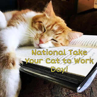 National Take Your Cat to Work Day HD Pictures, Wallpapers