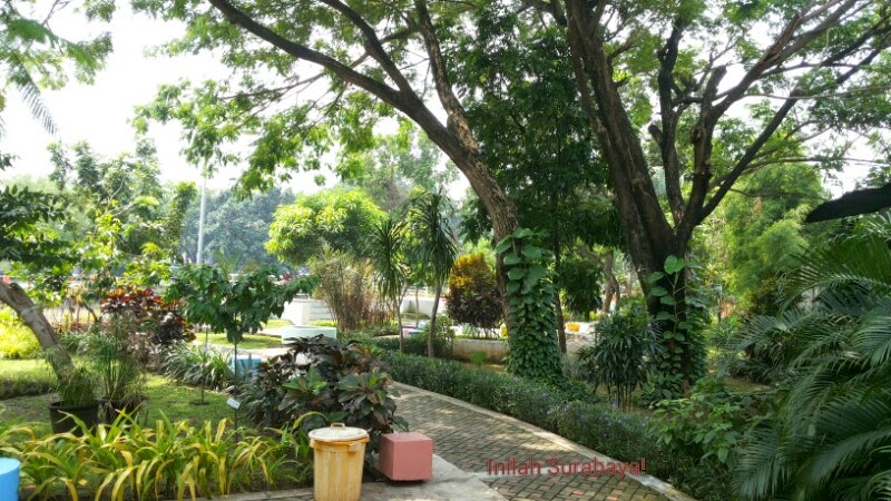 Inilah Surabaya!: TAMAN EKSPRESI