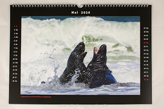 Wandkalender Fotokalender DinA3 Tiere wildlife