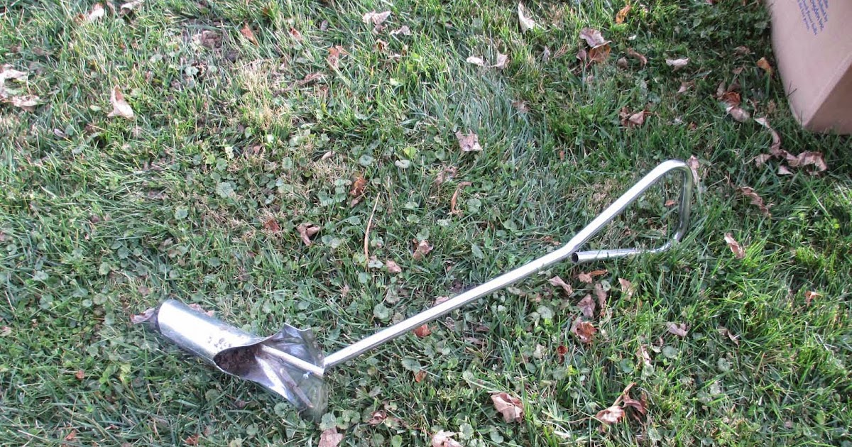 Garden Fancy Bulb Planting Travails