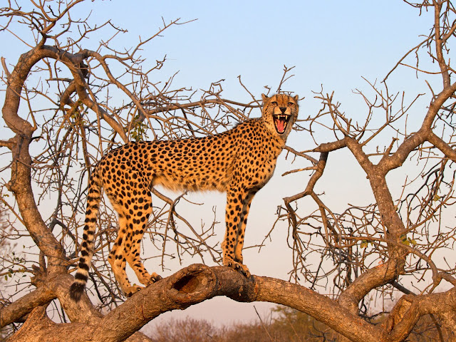 ���� ���� ������ �� ���� ������