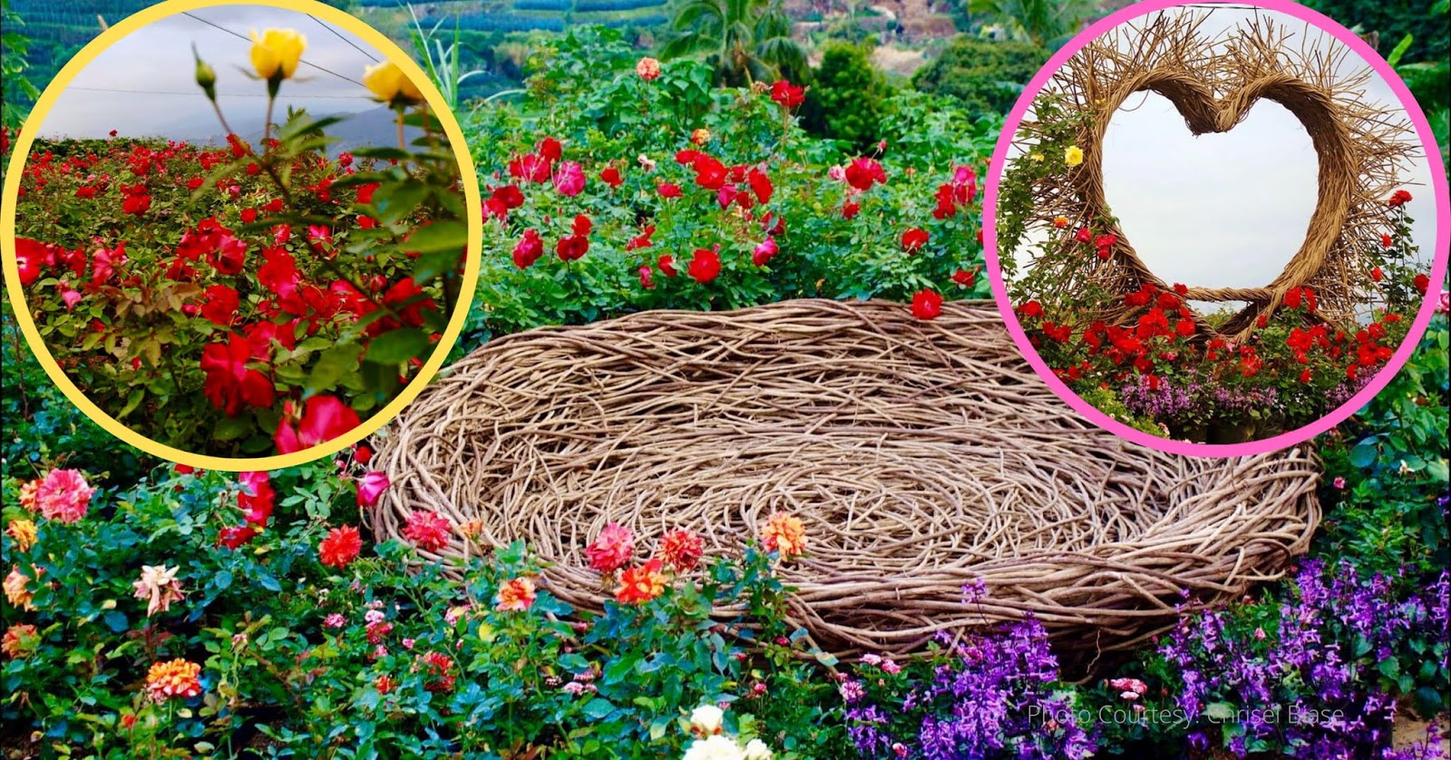 Photos Roses Opens New Store In Raleigh Abc11 Com www.vrogue.co