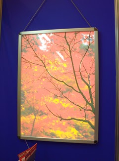 秋の紅葉の写真を飾ったチェンジングLEDライトパネルの写真
