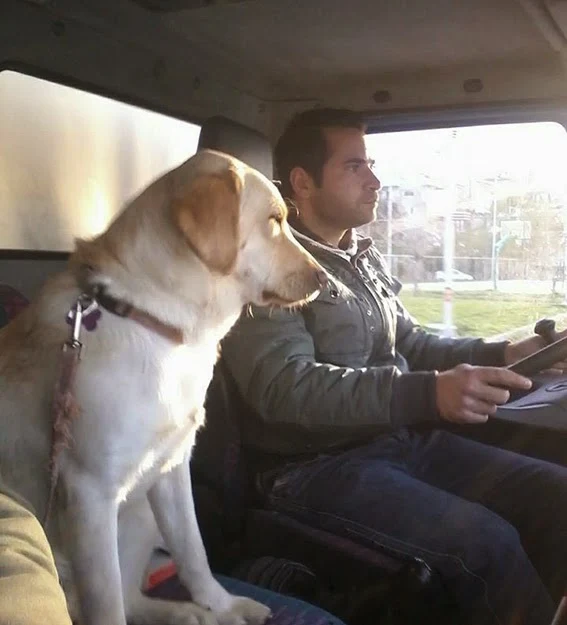 Χαλκίδα: Μάθημα οδήγησης παρέα με σκύλο! Δείτε την φωτογραφία που κάνει τον γύρο του διαδικτύου! (ΦΩΤΟ)