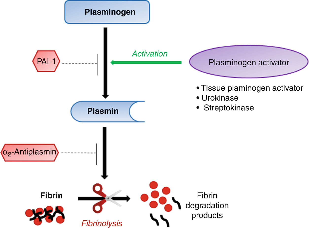 Lecture Notes on Thrombolytics/Fibrinolytics (Streptokinase, Urokinase