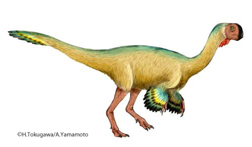 「Extinct Creatures」 コンコラプトル Conchoraptor