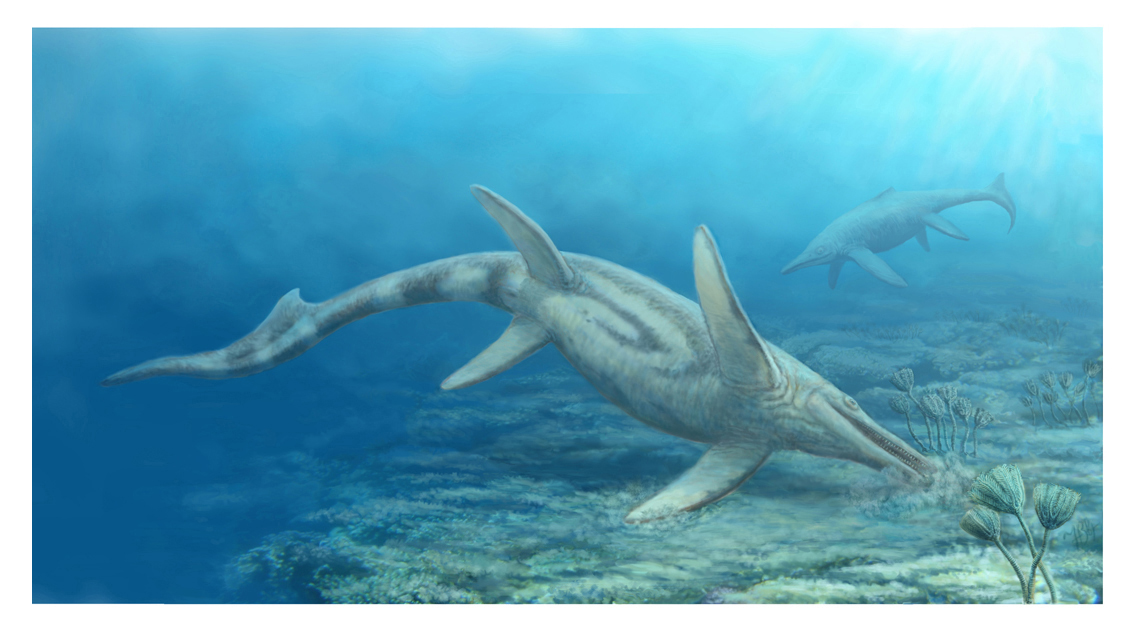 Extinct Animal of the Week: Quality Images