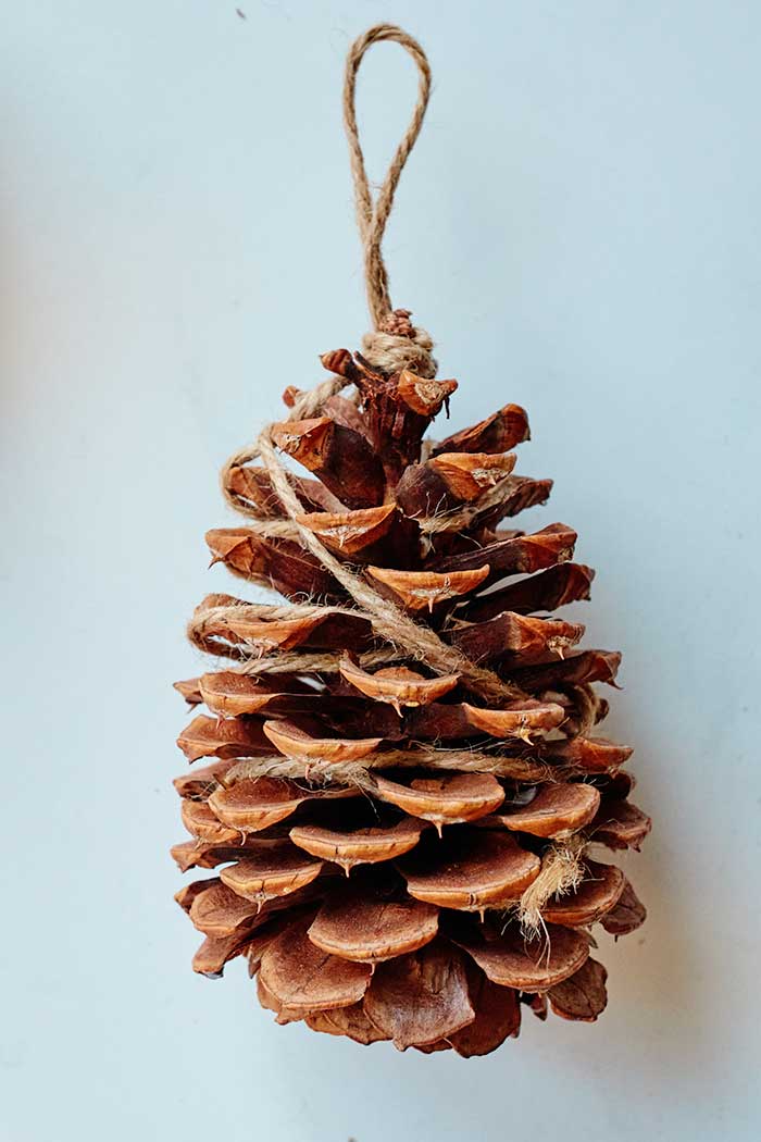 How to Make DIY Pine Cone Fire Starters Everything Pretty