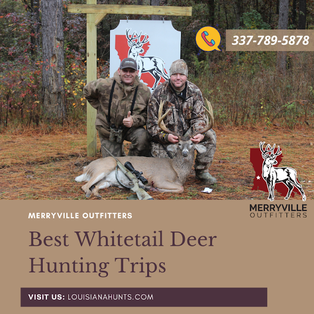 Enjoy The Best Whitetail Deer Hunting Trips