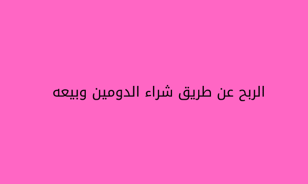 الربح عن طريق شراء الدومين وبيعه الربح عن طريق شراء الدومين وبيعه