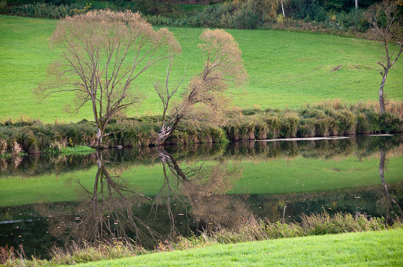Miscellanea Es Regnet In Regensburg