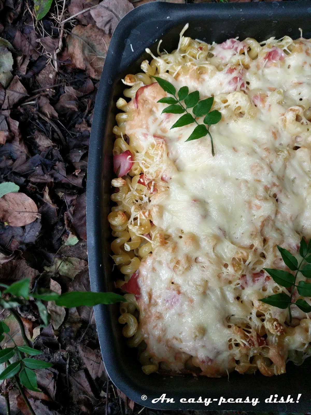 HAM AND CHEESE GRATIN WITH ALMOND MILK BECHAMEL Easypeasy dish...
