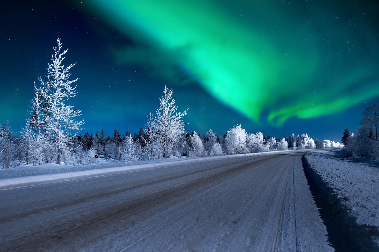 iceland travel aurora borealis