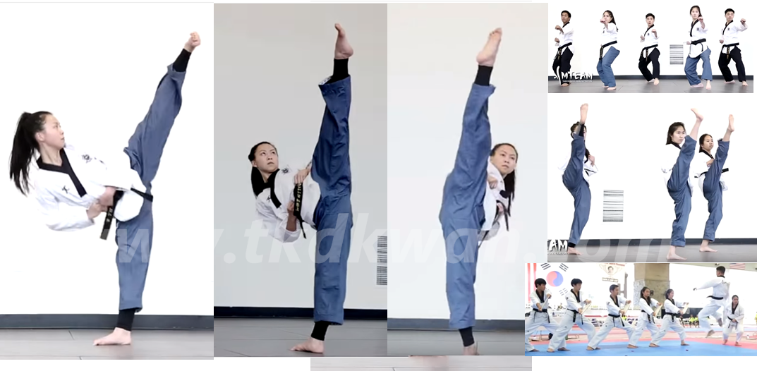 Excellent Taekwondo Skills 세계 태권도 가족