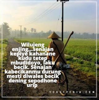Arti Wilujeng Enjing dan Contoh Ucapannya Dalam Bahasa Jawa