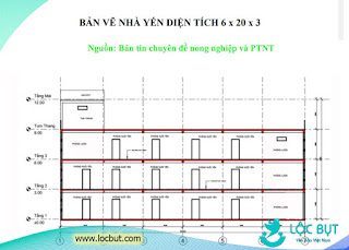 bản vẽ xây nhà yến