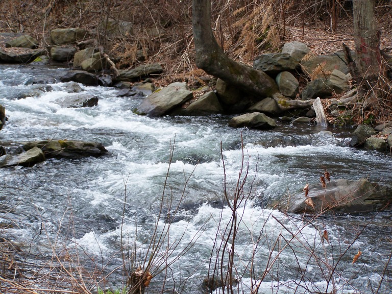 Frank's Place Stafford Meadow Brook