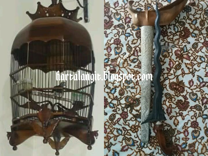 Pengertian Tangguh Pada Burung Perkutut Dan Ciri Cirinya Harta
