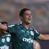 www.seugura.com.br/Renan/Palmeiras/Copa Libertadores 2021/