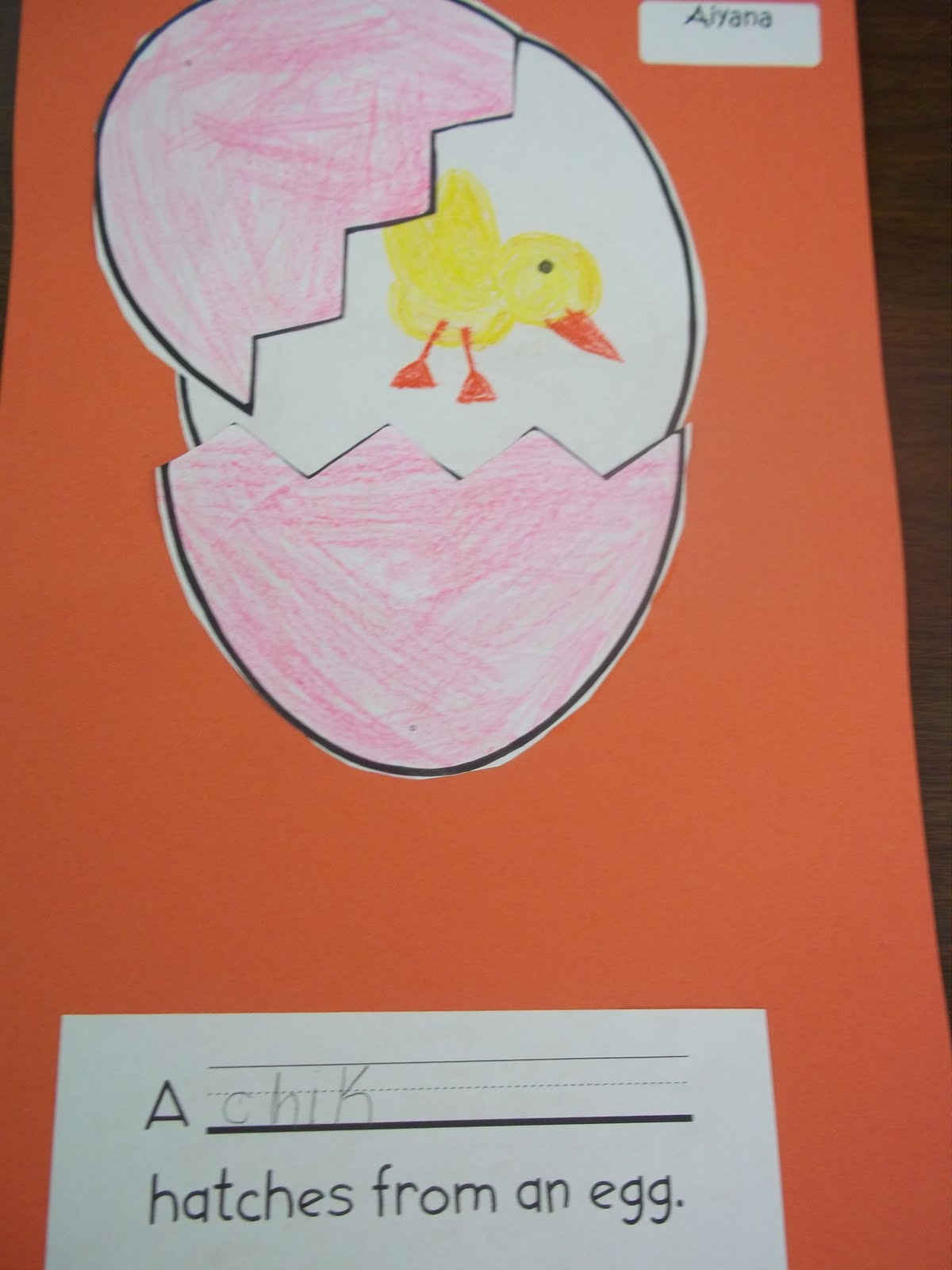 Mrs. Wood's Kindergarten Class: Oviparous Animals