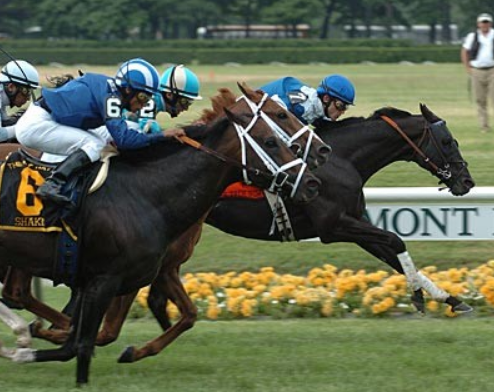 Hard betting and factors affecting horse racing