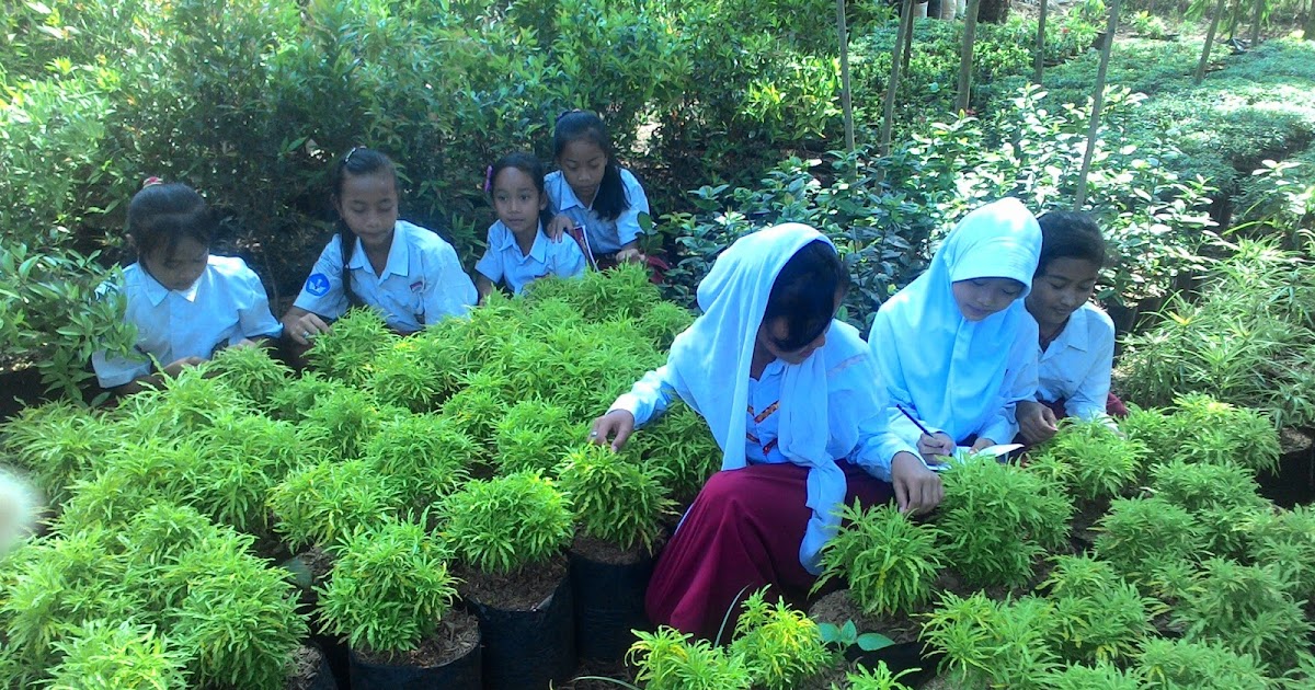 Cara Format Menulis Laporan Hasil Wawancara - Tugas Sekolah Ku