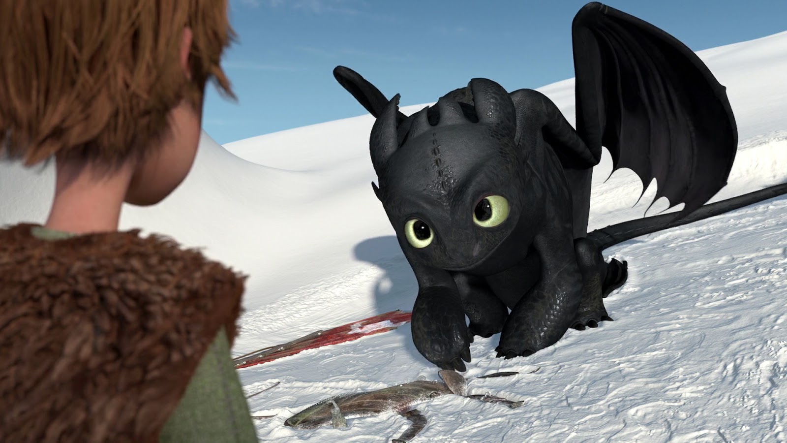 Dragons : Le Cadeau Du Furie Nocturne Aux Pays de l'animation: Dragons - Le Cadeau Du Furie Nocturne (Dragons