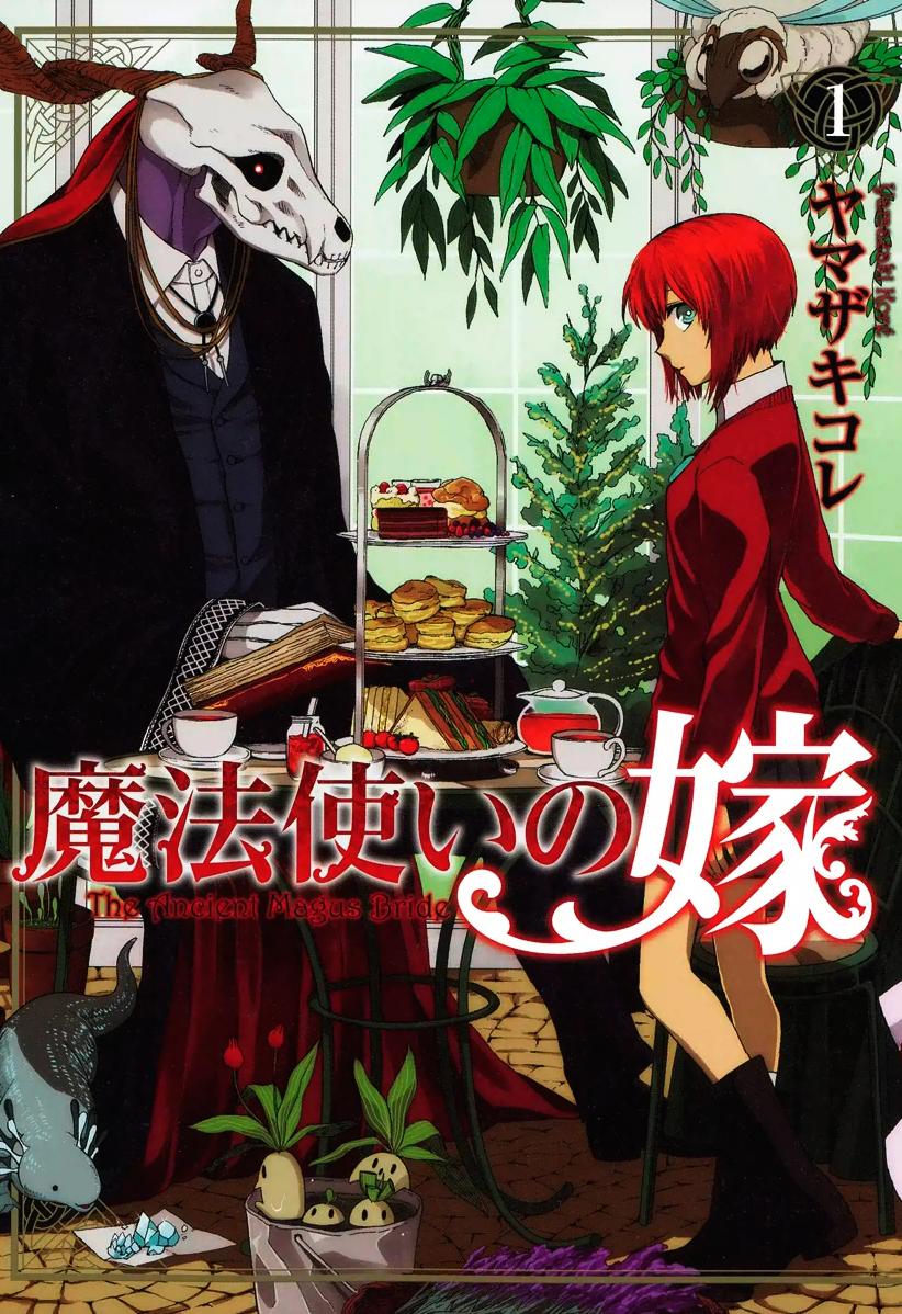 Otaku Disaster!: Anime: Mahoutsukai no yome