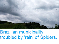https://sciencythoughts.blogspot.com/2019/01/brazilian-municipality-troubled-by-rain.html