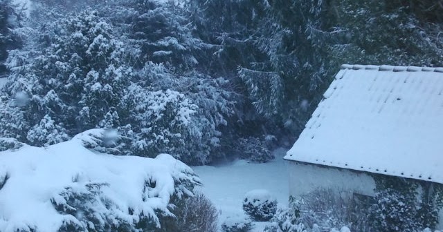 Justforfun And Withoutanysense Zwei Fruhlingsgedichte Und Warum