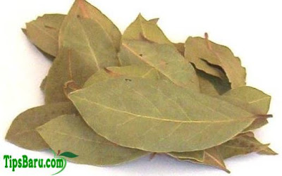 12 Manfaat Daun Salam Kering Untuk Mengatasi Berbagai Penyakit Daun Salam Kering