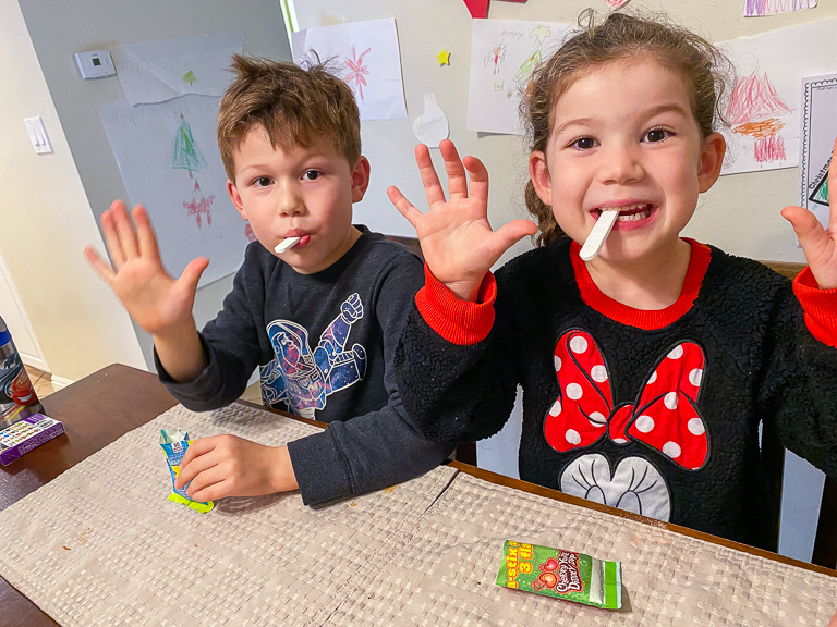 Tales of the Flowers Bob Ross Flavor Palette Paintbrush Dipping Candy