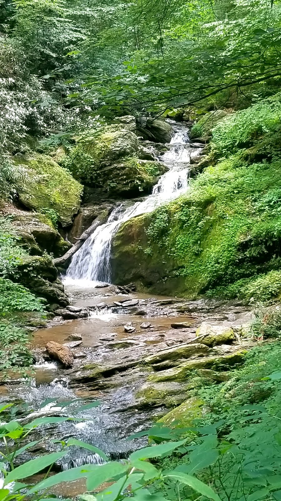 Valley Girl Views Mill Creek Falls In York County