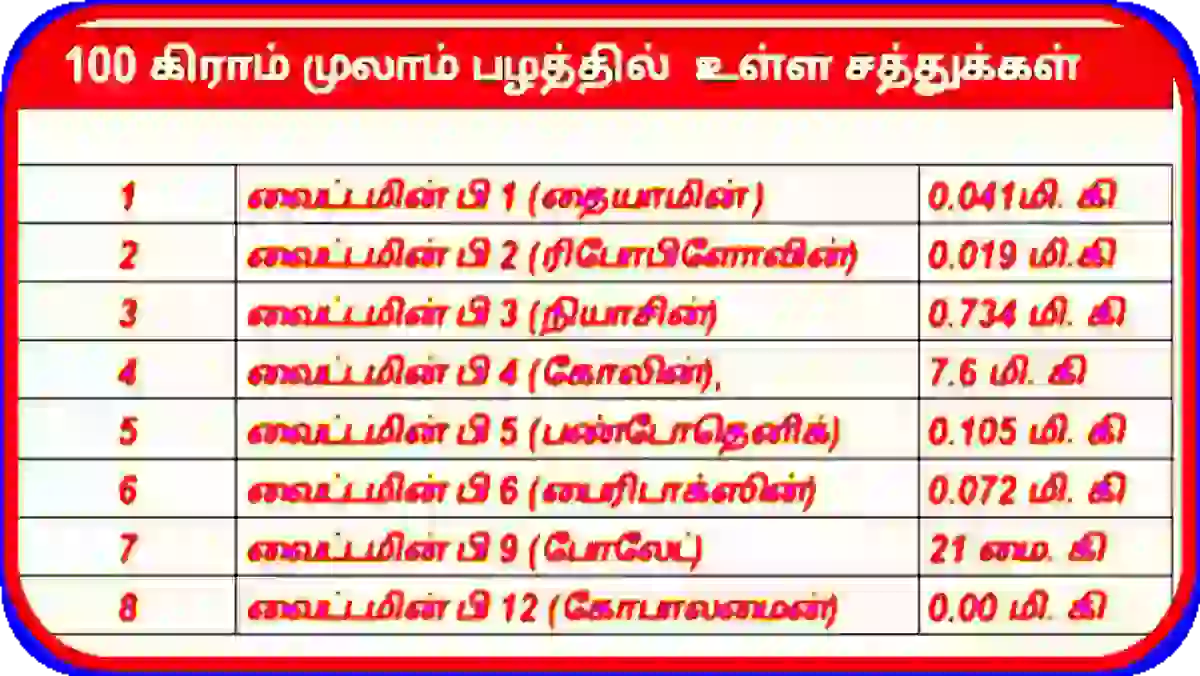 முலாம் பழம் நன்மைகள் தீமைகள் மற்றும் சத்துக்கள் முலாம் பழம் சத்துக்கள் அட்டவணை 2