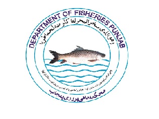 Latest Jobs in Fisheries Department Punjab  2021- BPS 01- 17 
