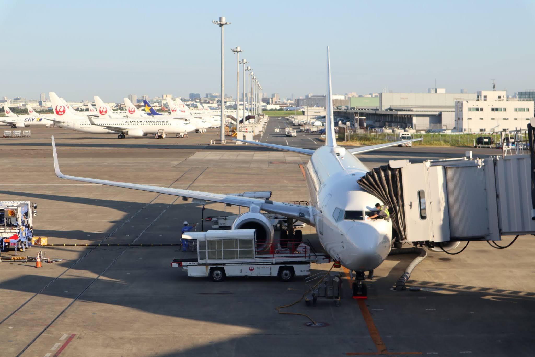 Jalで羽田空港から函館へ 休日のフライト Jal585便 レビュー 凡人の趣味ログ