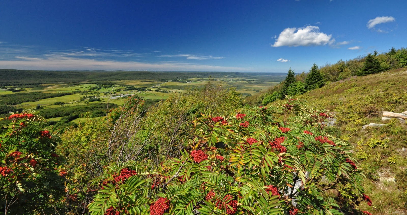 Discover West Virginia Ride to the top of Canaan Valley The Bald Knob