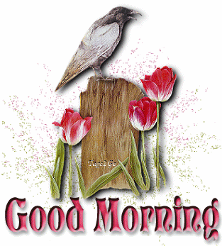 good morning good morning