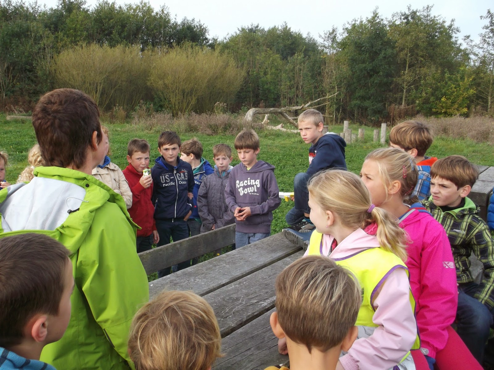 Het Boompje - meester Nico: Naar het bos in Zandvoorde