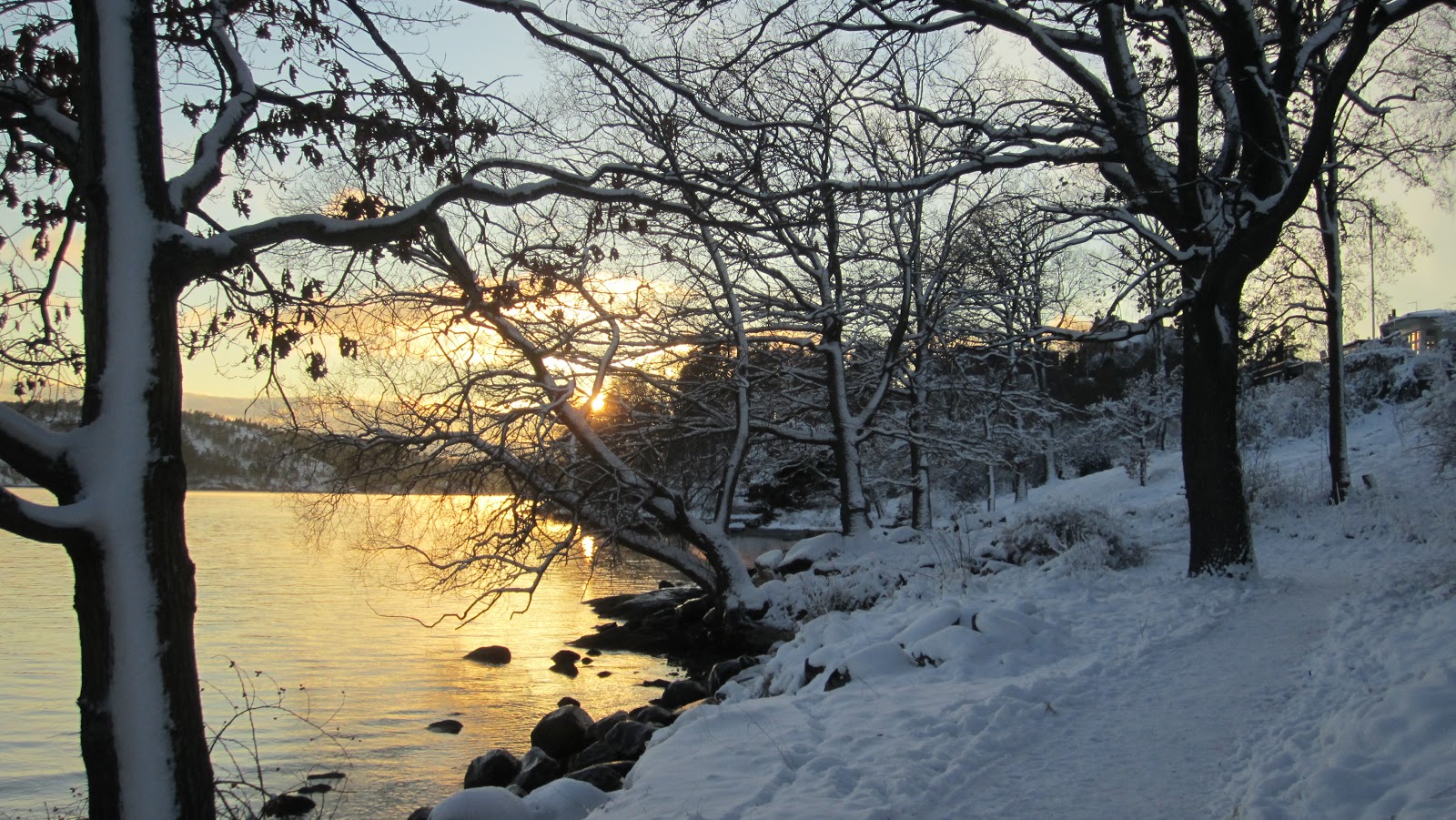 American au pair in Stockholm Winter shenanigans