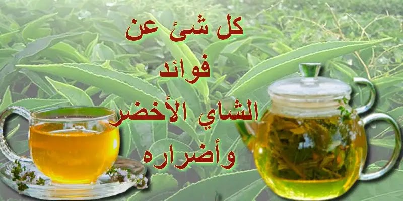 فوائد الشاي الأخضر وأضراره والفوائد عند تناولة بشكل منتظم فوائد الشاي الأخضر,فوائد الشاي الاخضر,الشاي الاخضر,الشاي الأخضر,فوائد الشاي الاخضر للتنحيف,الشاي الأخضر للتنحيف,فوائد الشاي الاخضر للتخسيس,الشاي الأخضر للتخسيس,الشاي الأخضر على الريق,أهمية فوائد الشاي الأخضر,فوائد الشاي الأخضر ليبتون,الشاي,فوائد الشاي الأخضر للتخسيس,فوائد الشاي الأخضر والليمون,فوائد الشاي الأخضر على الريق,فوائد الشاي الأخضر بالنعناع