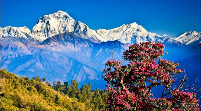 Beautiful Nepal