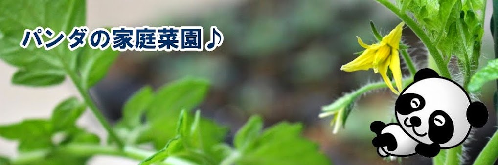 【花と野菜：保存版】